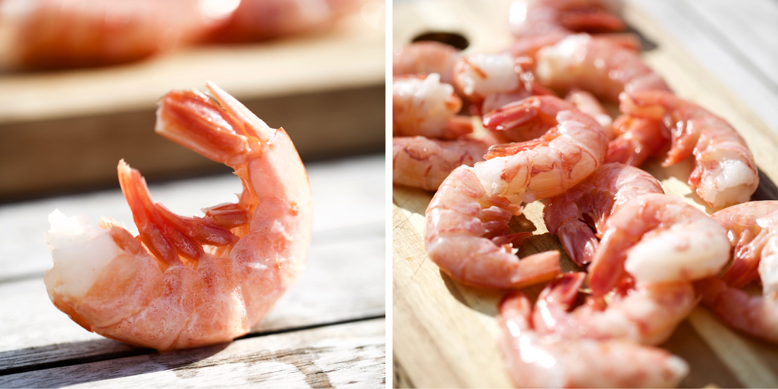 shrimp02